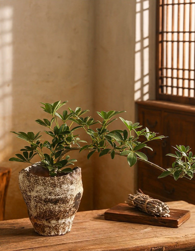 Hand-Thrown Crater Vase — Blackened Patina, Wavy Rim - Large