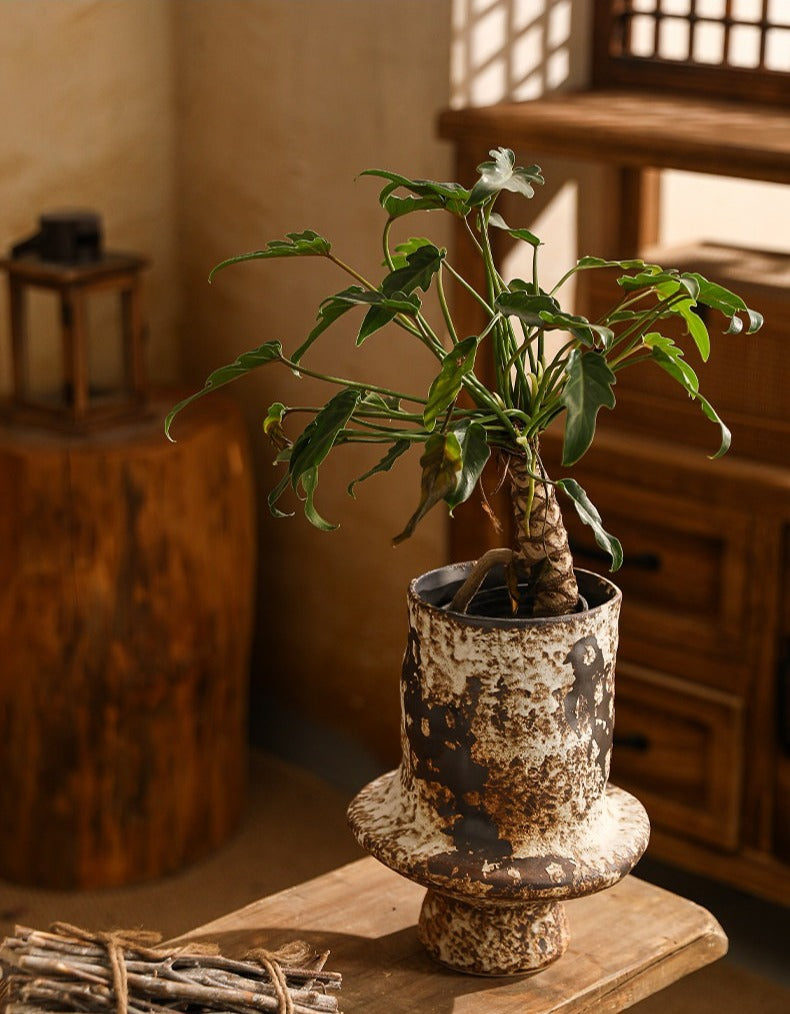Hand-Thrown Collar Planter — Flanged Silhouette, Splatter Glaze