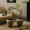 Hand-Thrown Bulb Planter — Sage Patina, Scalloped Rim