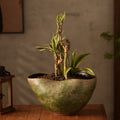 Hand-Thrown Moss Planter — Gourd Silhouette, Wavy Rim