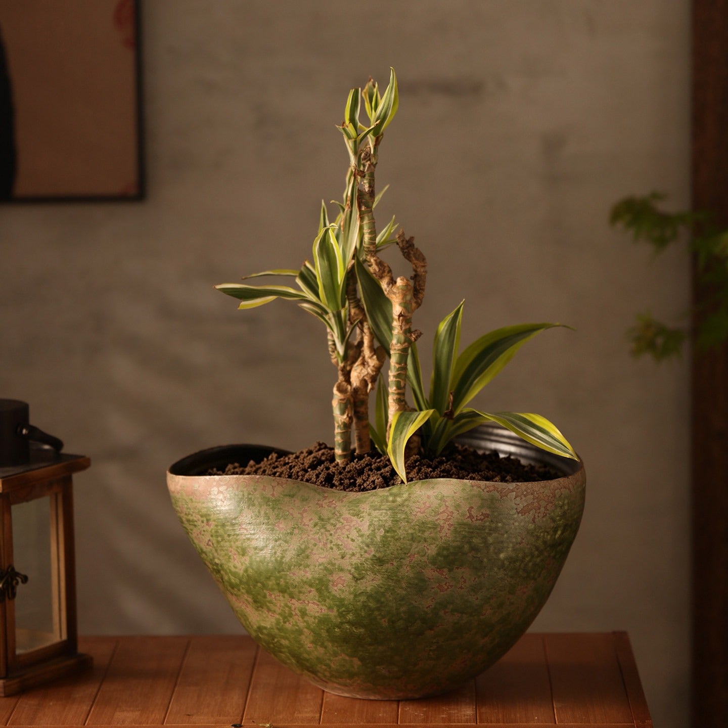 Hand-Thrown Moss Planter — Gourd Silhouette, Wavy Rim