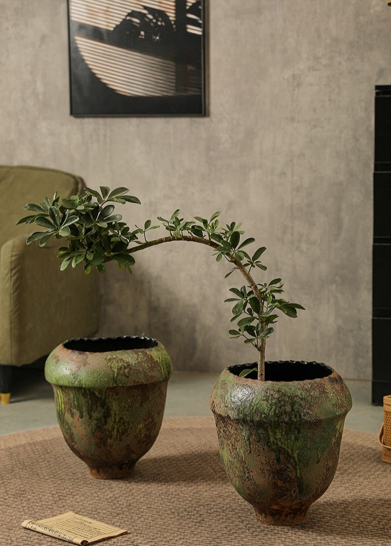 Hand-Thrown Bulb Planter — Sage Patina, Scalloped Rim