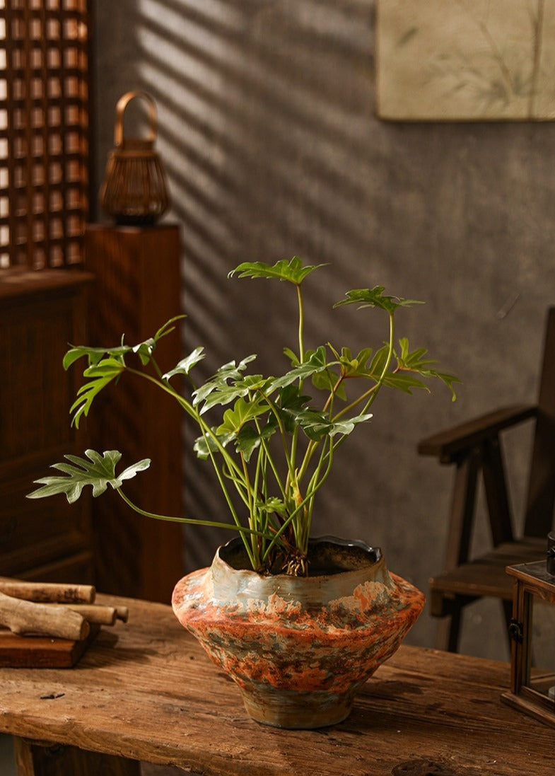 Sculptural Hand-Thrown Planter — Wide Body, Wavy Rim