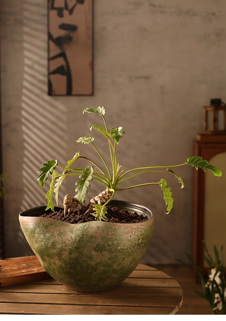 Hand-Thrown Moss Planter — Gourd Silhouette, Wavy Rim