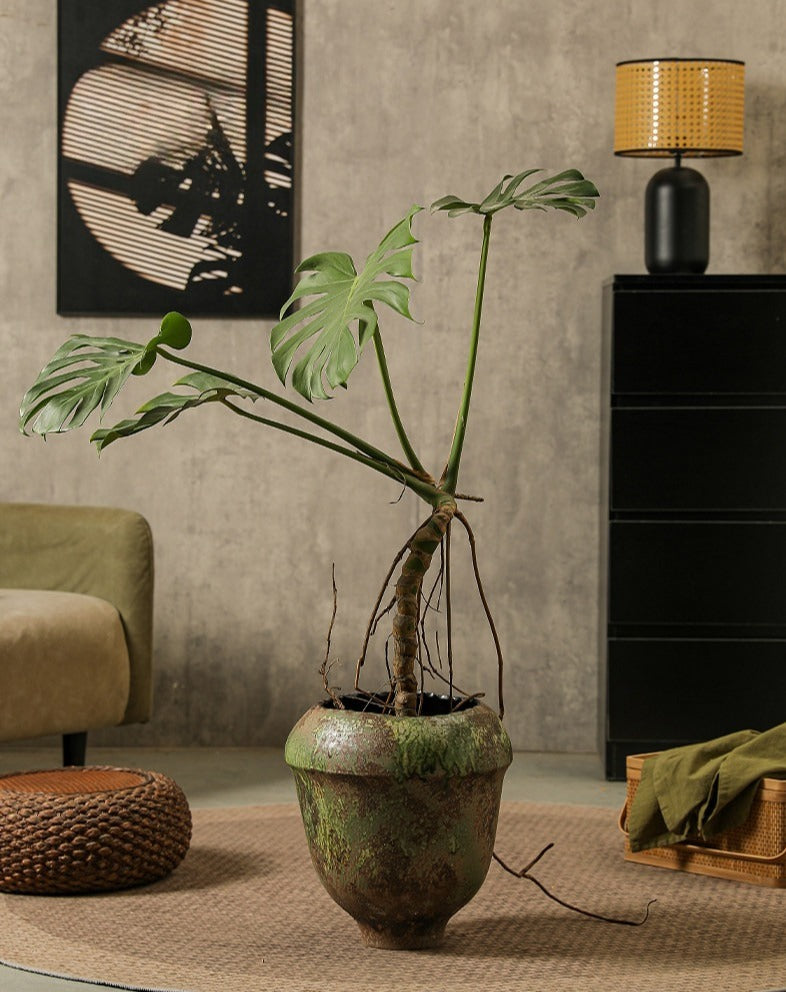 Hand-Thrown Bulb Planter — Sage Patina, Scalloped Rim