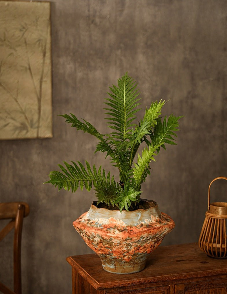 Sculptural Hand-Thrown Planter — Wide Body, Wavy Rim