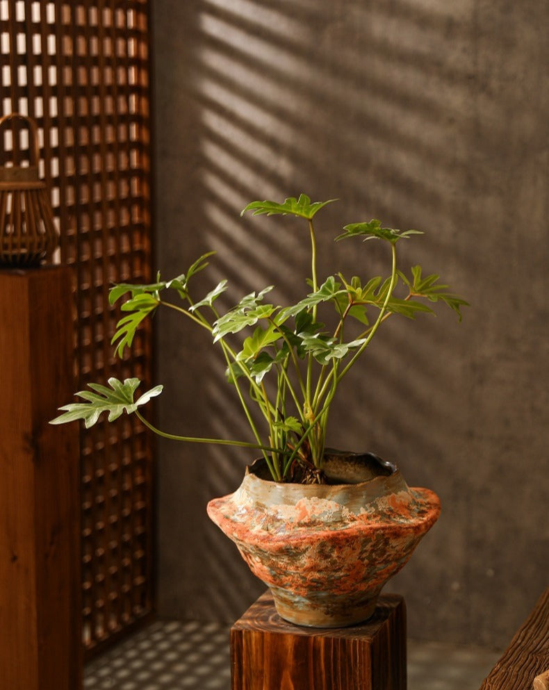 Sculptural Hand-Thrown Planter — Wide Body, Wavy Rim