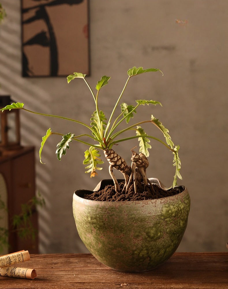 Hand-Thrown Moss Planter — Gourd Silhouette, Wavy Rim