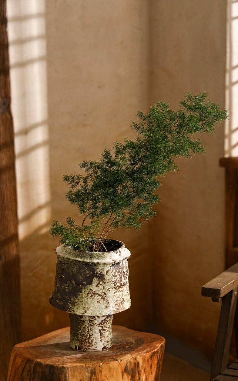 Hand-Thrown Mushroom Planter — Crawling Glaze, Pedestal Base