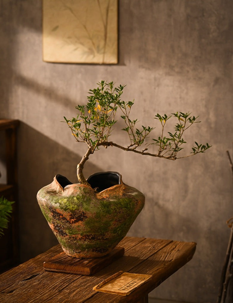 Hand-Thrown Volcanic Planter — Wide Basin, Wavy Rim